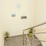 Silvije *